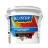 TEXTURA LISA BRANCA 25 KG - BLASCOR