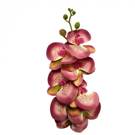 180_orquidea_phalenopsis_8_flores_vinho_grandes_de_silicone_237_1_ae6021c19add847037fa9aec9a2d3088 ORQUIDEA VINHO (2432-18) - DISTRISUL