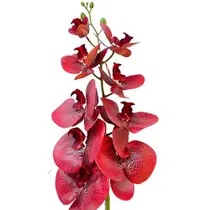 4c476b2ee3c10909fd2c1d1ffa634db7 ORQUIDEA VERMELHO (2423-03) - DISTRISUL