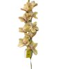 ORQUIDEA SALMAO (2423-05) - DISTRISUL
