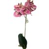 ORQUIDEA ROSA (2432-04) - DISTRISUL