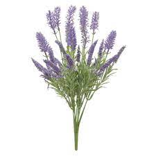 images (6) BUQUE LAVANDA LILAS (1988-09) - DISTRISUL