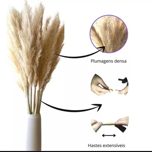 D_NQ_NP_650981-MLB78253528185_082024-O-kit-c20-capim-dos-pampas-grande-volumoso-140-metros (1962-20) CAPIM DOS PAMPAS MARROM - DISTRISUL