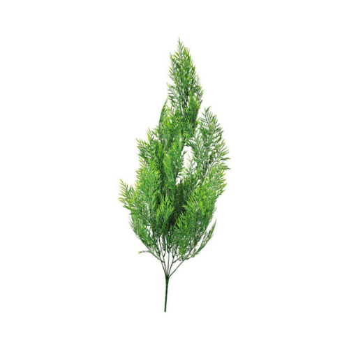 foto_22921_13509.jpg HASTE CIPRESTE 6370