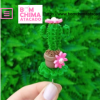 ENFEITE DE CUIA CACTUS COM ESPINHOS - BOM CHIMA