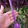 BOMBA DE CHIMARRÃO INOX COM PINTURA ESPECIAL 23CM BOJO FIXO ROXO - BOM CHIMA
